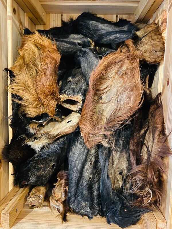 Hairy Cow Ear