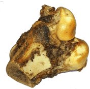 Knuckle Bone
