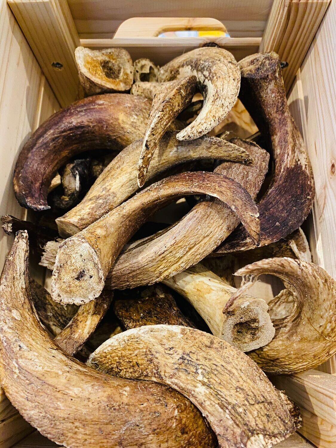 Lamb Marrow Horn