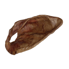 Pig Ear