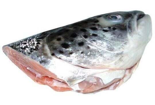Southcliffe Salmon Heads