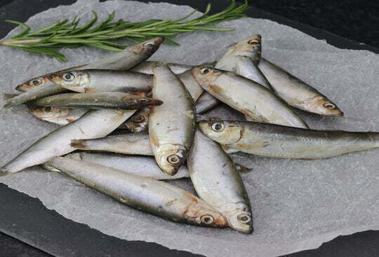 Southcliffe Sprats 1KG