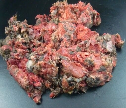 The Dogs Butcher Wild Gutted Rabbit 1kg