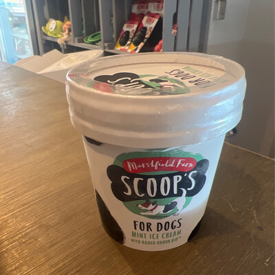 Scoop For Dogs Ice Cream Mint 125ml