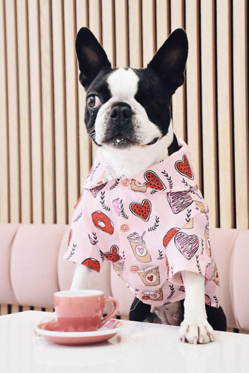 Hey Bert Brunch Date Shirt