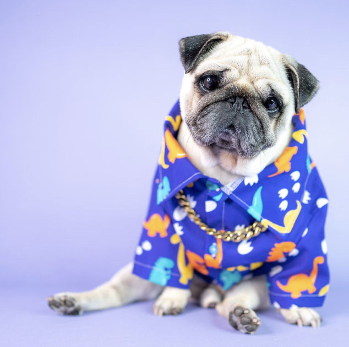 Hey Bert Dino Shirt