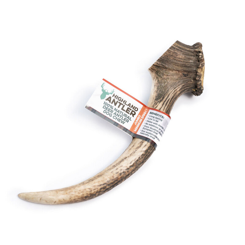 Jumbo Antler 270g+