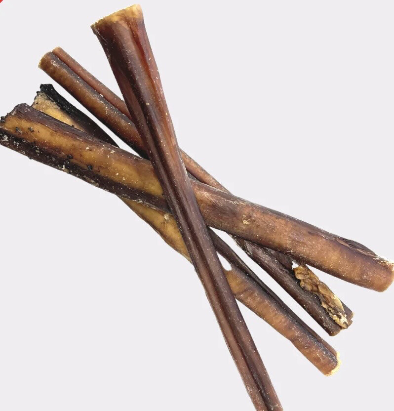 Large “Odourless” Pizzle