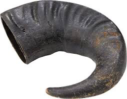 Buffalo Horn Jumbo