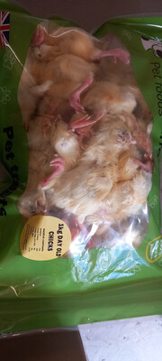 Southcliffe Day Old Chicks 1kg