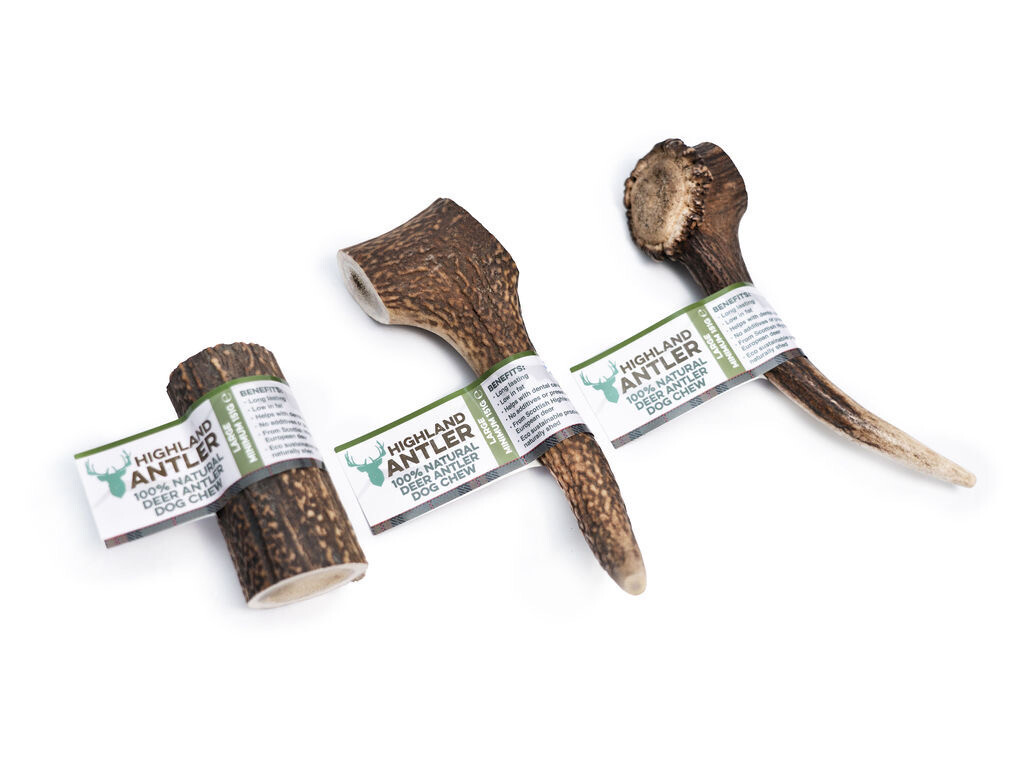 Antler Large (min 150g)