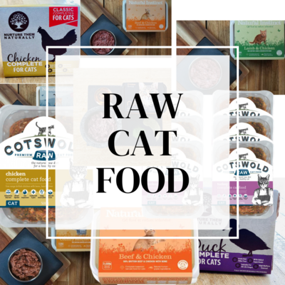 Raw Cat Food