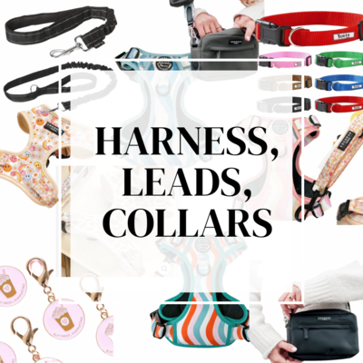Harnesses, Leads & Collars