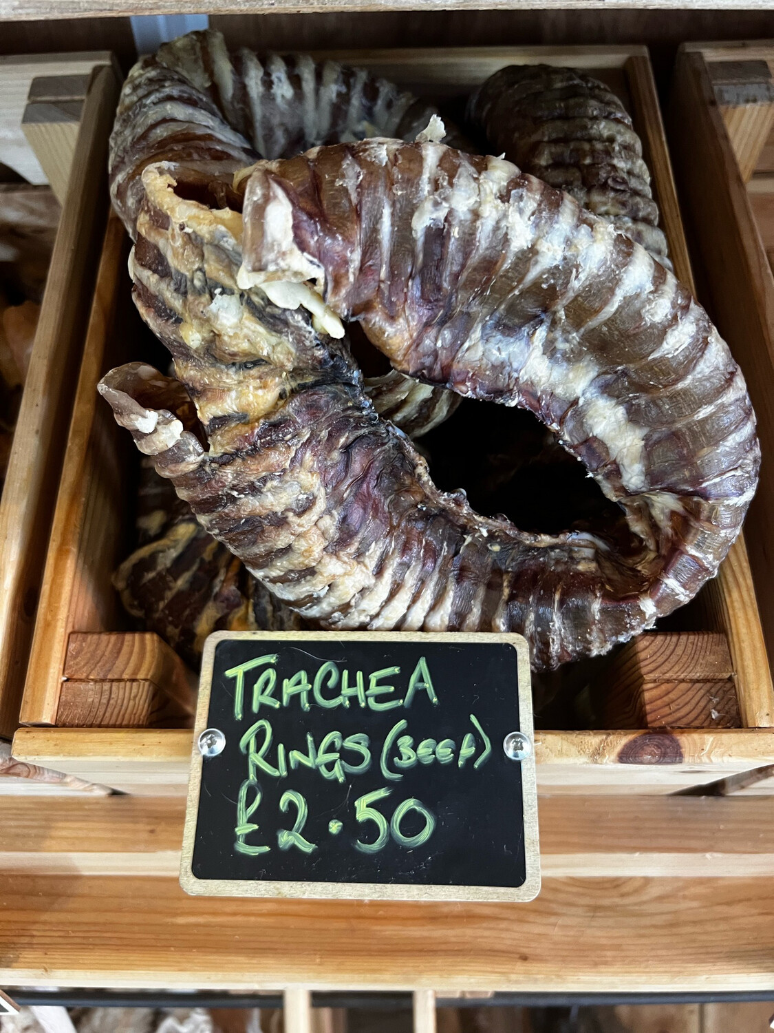 Trachea Ring