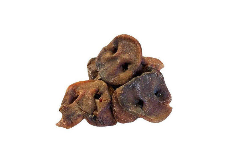 Pork Snout
