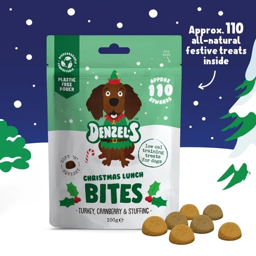 Denzel's Christmas Lunch Bites