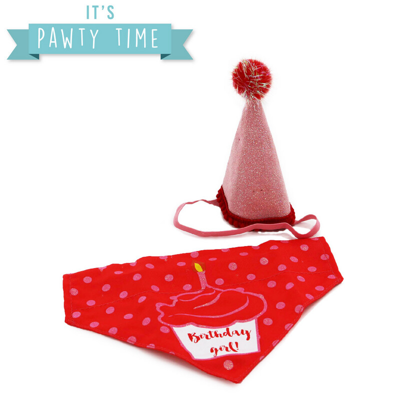 Ancol It’s My Birthday Hat & Bandana Pink