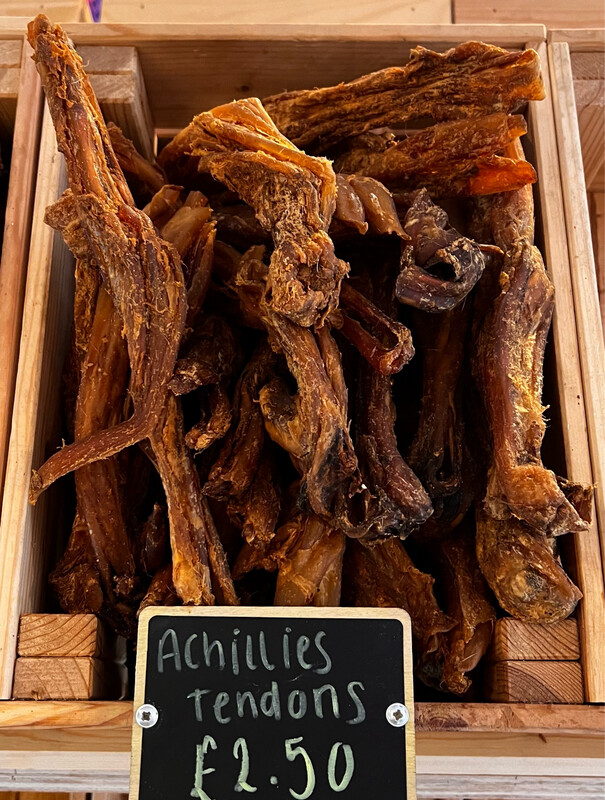 Achillies Tendon