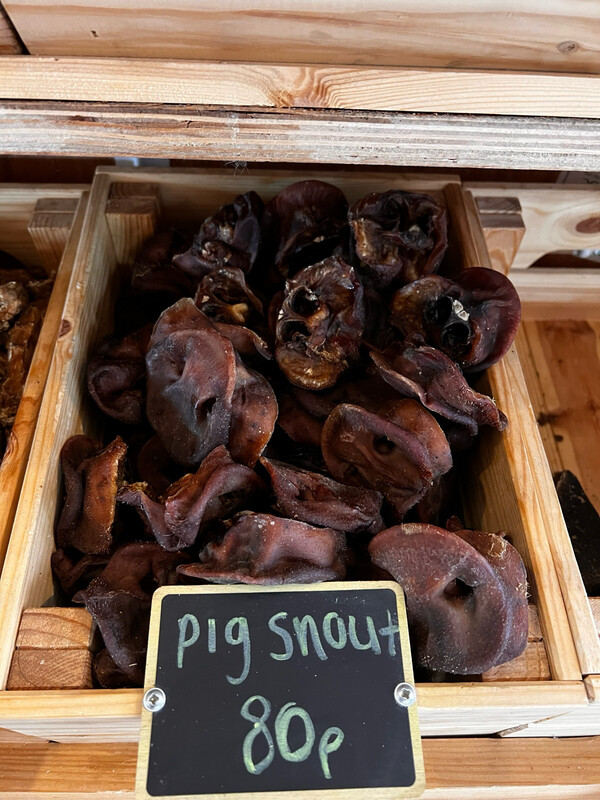 Pig Snout