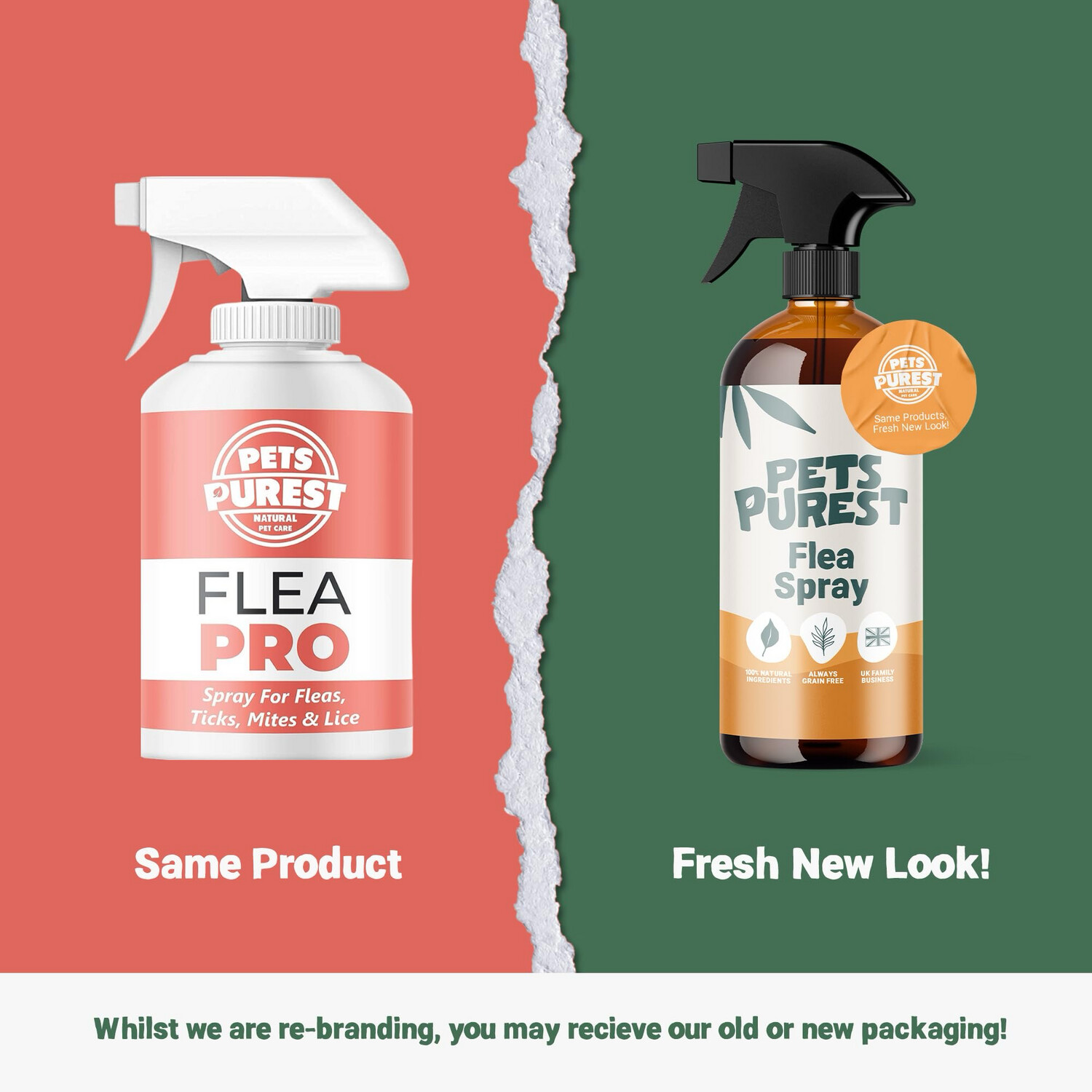 Pets Purest 100% Natural Flea, Lice & Tick Spray