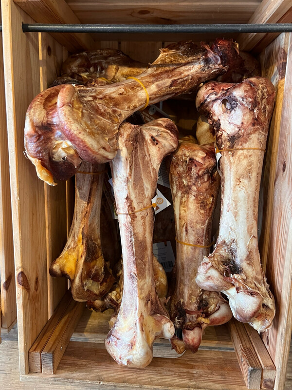 Ostrich “Dino” Bone