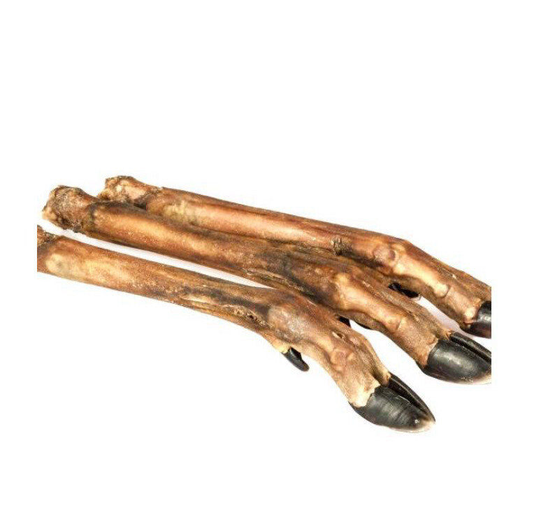 Small Venison Leg ( No Hair)