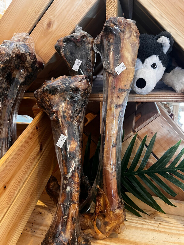 XL Venison Bone