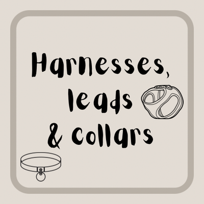 Harnesses, Leads & Collars