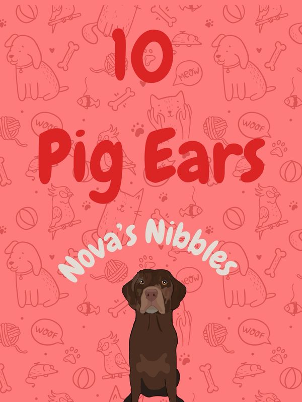 10 Pig Ears