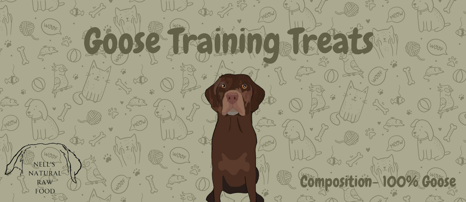 Training Treat Goose 50g