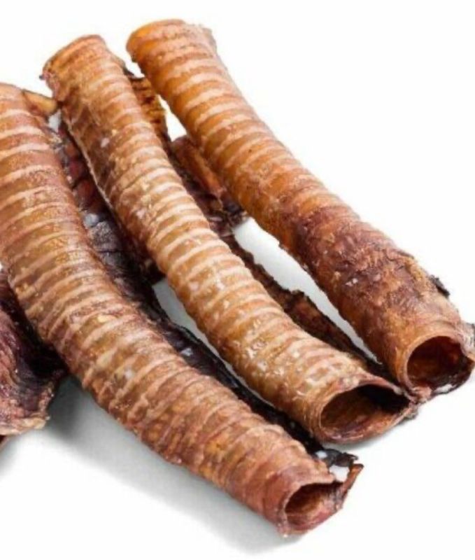 Whole Trachea