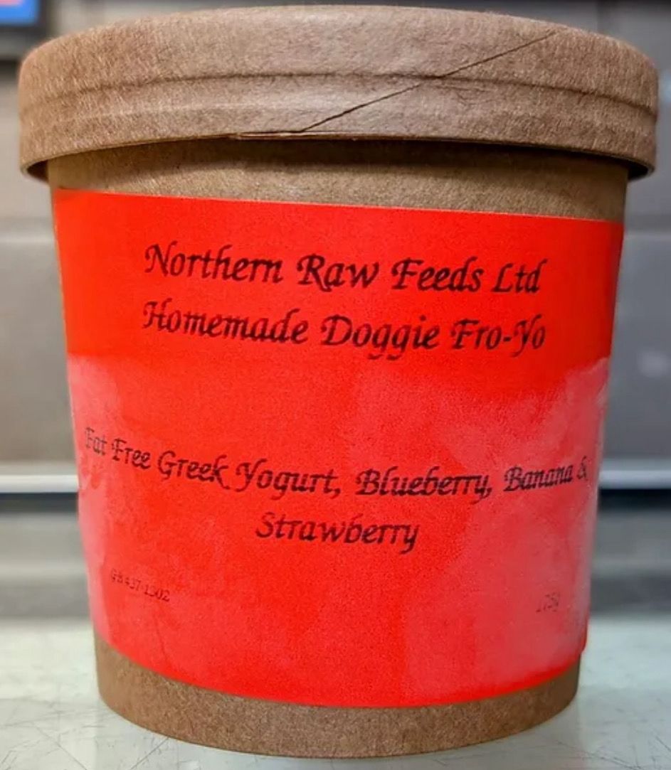 Northern Feeds Raws Fruity Fro-yo 175g