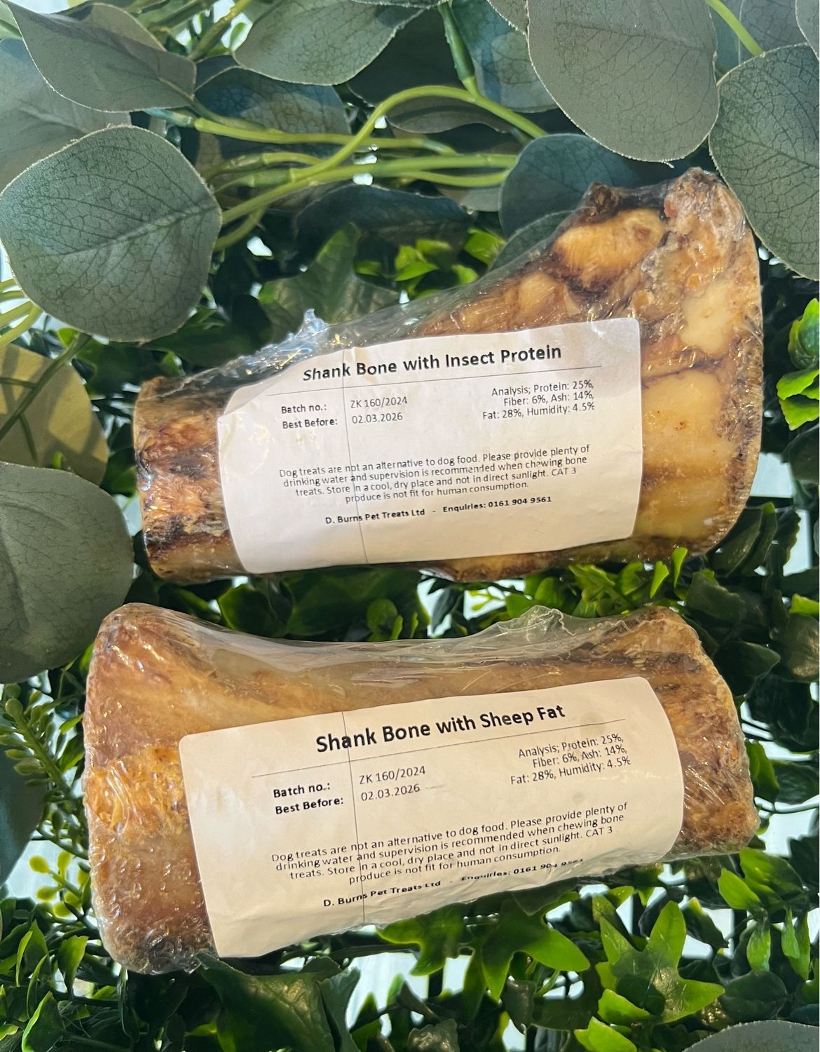 Shank Bone Filled With Insect Protein