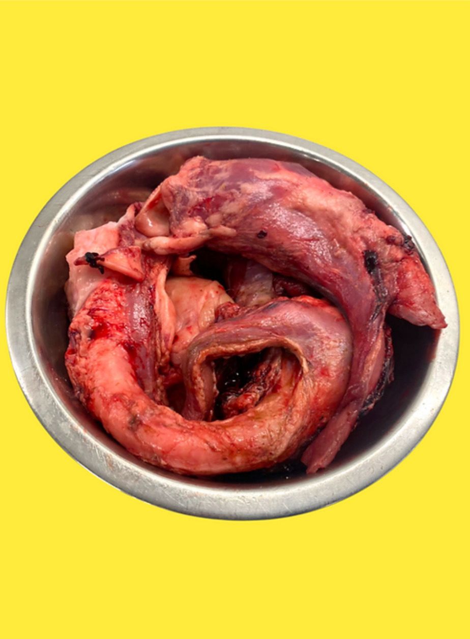 Northern Raw Lamb Trachea 1kg