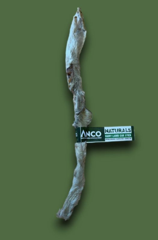 Hairy Lamb Ear Stick