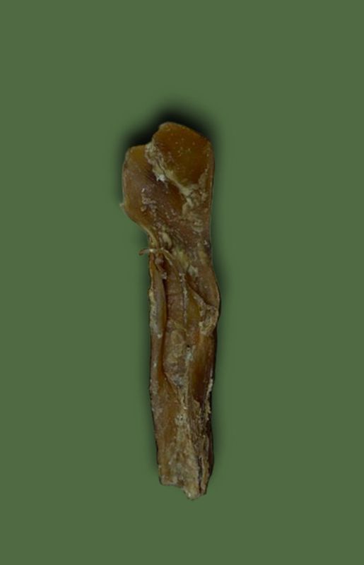Bully Muscle Stick