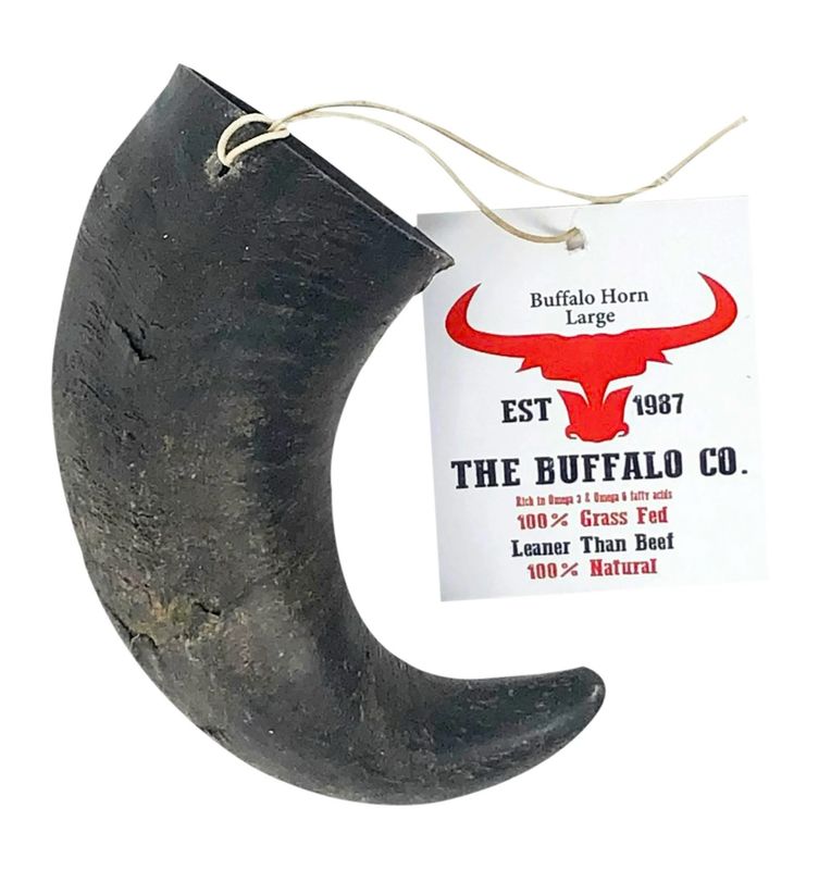 The Buffalo co Buffalo Horn Large (6-8inches)