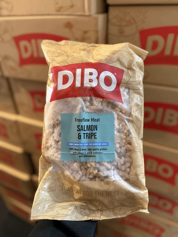 DIBO Salmon & Tripe 1kg