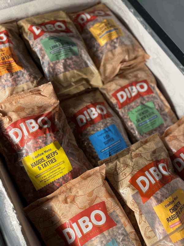 DIBO- Bundle Deal 10 x 1kg