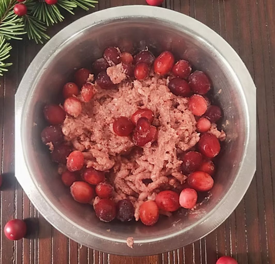 Northern Raw Turkey & Cranberry 454g Northern Raw Turkey & Cranberry 454g