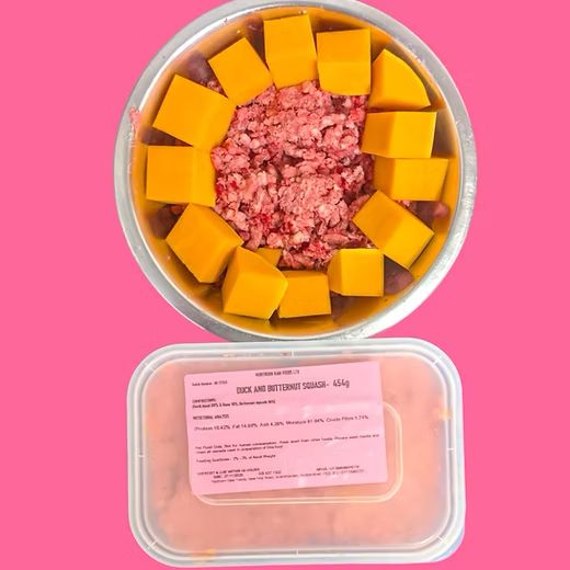 Northern Raw Feeds Duck & Butternut Squash 454g