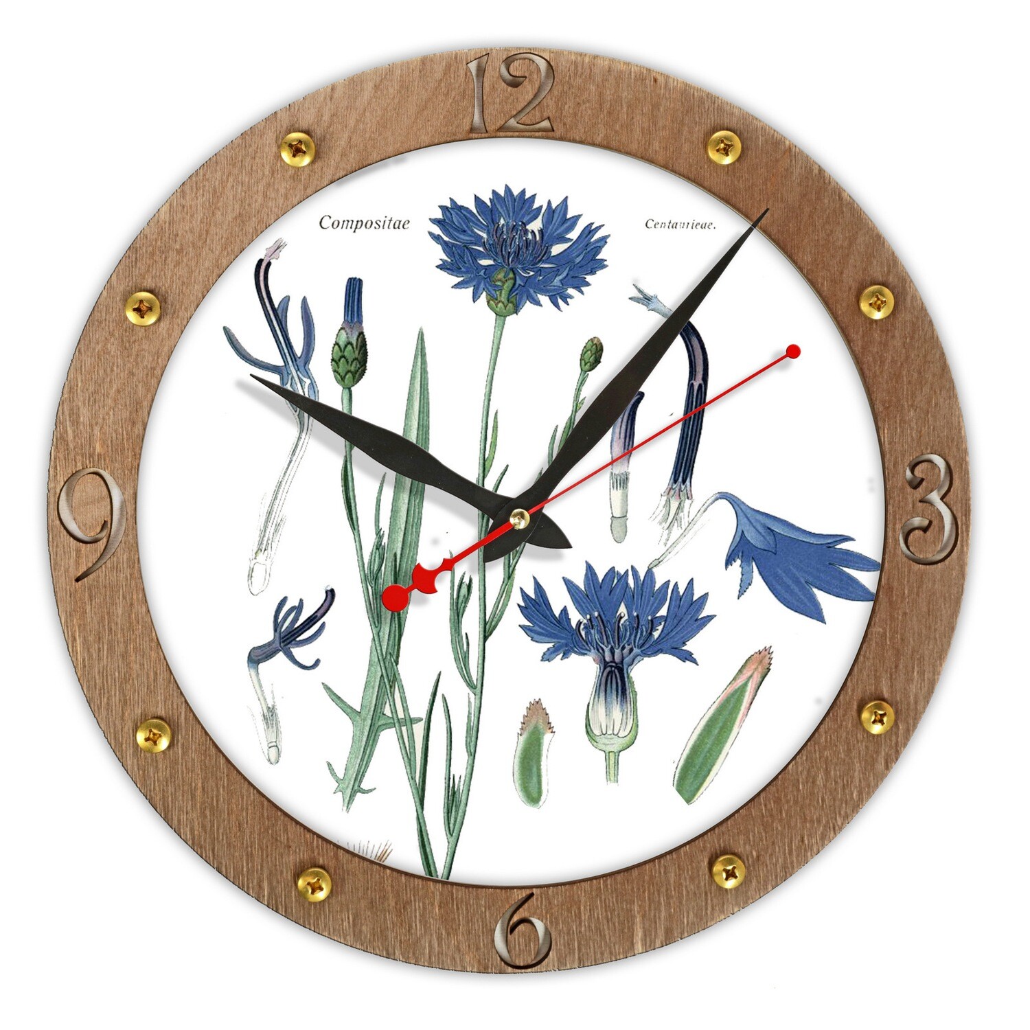 Настенные часы-основа для создания гербария