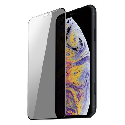 Dux Ducis Privacy Screen Protector for iPhone Xs Max
