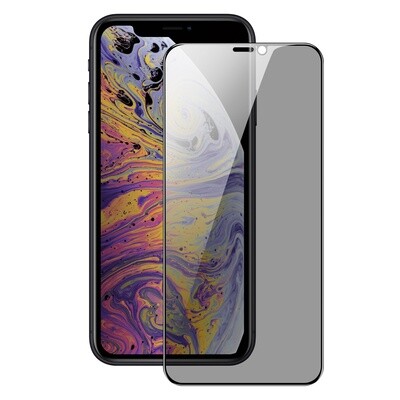 Dux Ducis Privacy Screen Protector for iPhone Xs Max