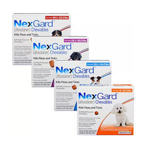 Nexgard Monthly Chewables for Flea and Tick Protection