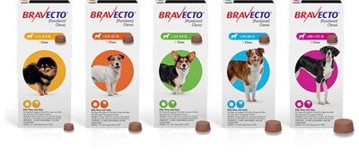 Bravecto for Dogs - 3-month Chewable Treat