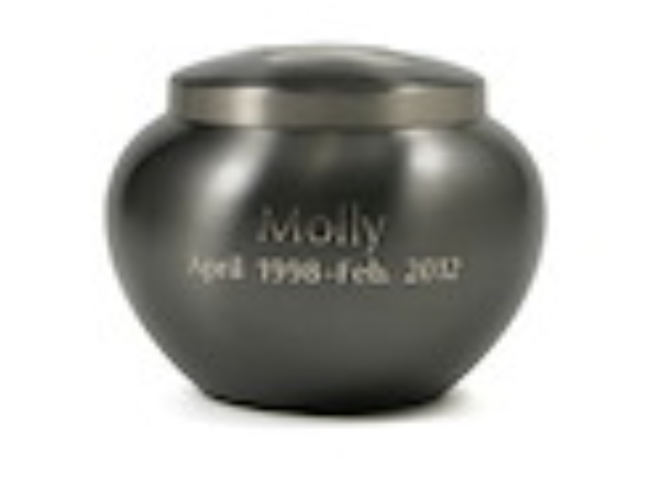 Odyssey Extra Engraving
