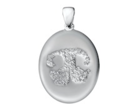 Custom Paw Print or Nose Print Charm - Silver, Choose Design: Nose Print