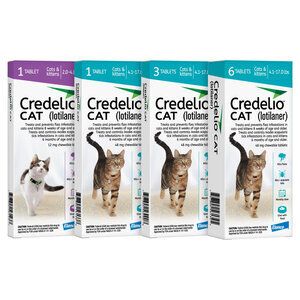 Credelio FELINE - Flea and tick monthly chew