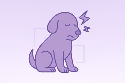 Ear Health